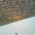 Tinting 1.jpg